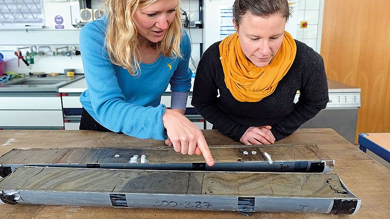 Sediment cores